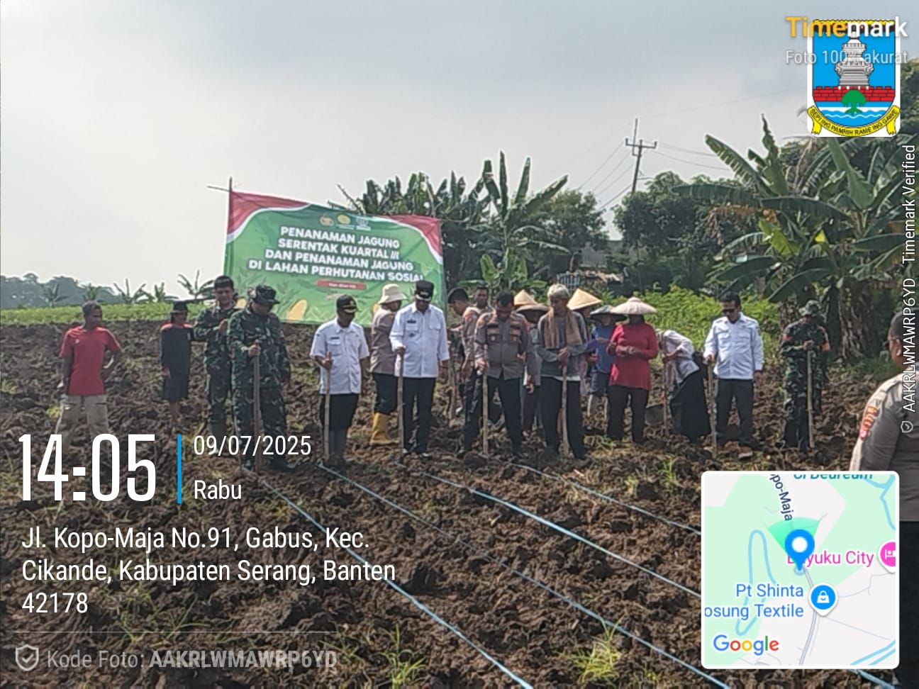 penanaman-jagung-desa-gabus-kecamatan-kopo